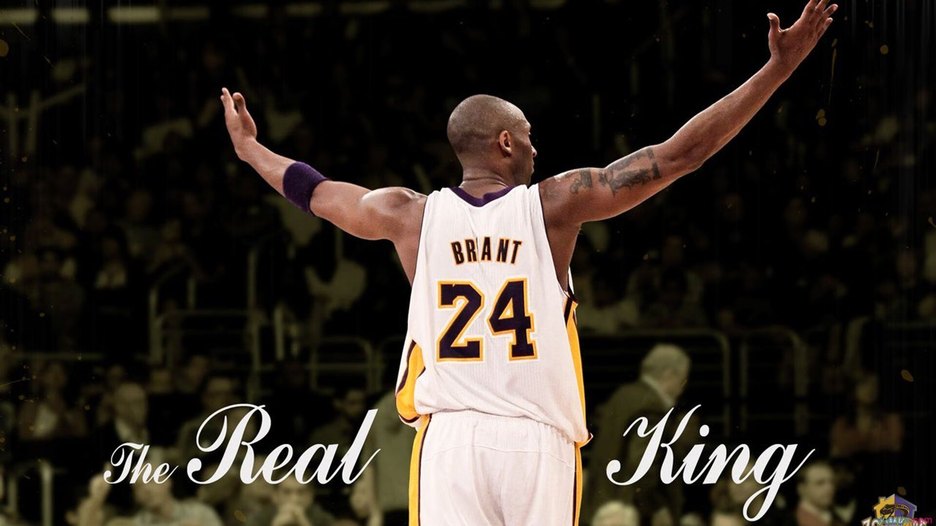 布伦森爆发背后的战术密码,尼克斯如何用体系压制热火