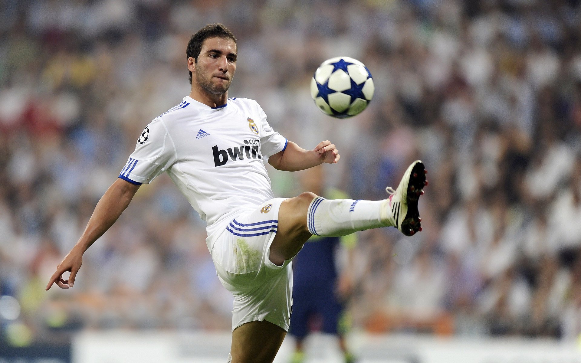 从神户到世界,三笘薰的NBA总决赛之夜